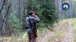 ОХОТА НА РЯБЧИКА С МАНКОМ. РЯБЧИКОВОЕ ЭЛЬДОРАДО