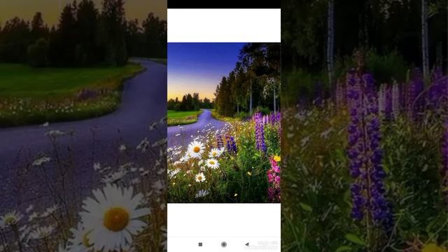 летняя природа и стих который я придумала сама?? смотреть онлайн