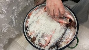 Простой рецепт как засолить воблу. Получается отличная вяленная рыба ?