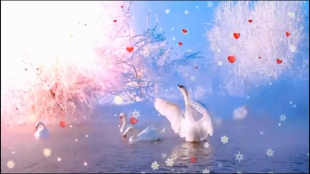 Футаж Лебеди зимой. смотреть онлайн