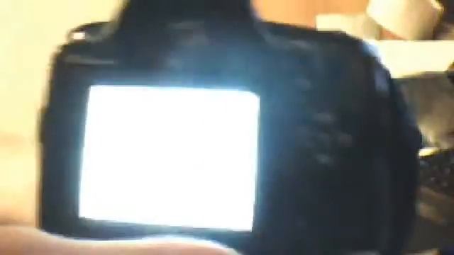 Обзор зеркалки Sony A230 смотреть онлайн