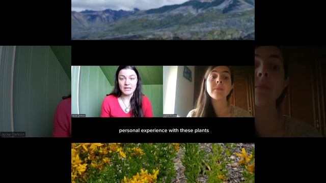 St. Joan's Wort conference: Hypericum Perforatum смотреть онлайн