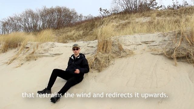 The Foredune смотреть онлайн