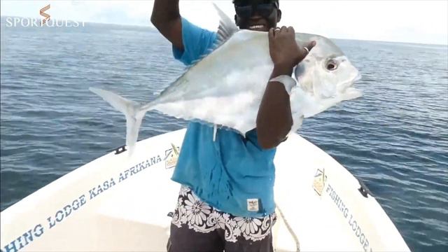 Mixed Species Vertical Jig Fishing Off The Coast Of Guinea Bissau смотреть онлайн