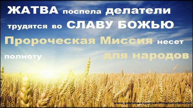 ЖАТВА ПОСПЕЛА смотреть онлайн