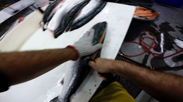 Fish Filleting- Atlantic Salmon смотреть онлайн