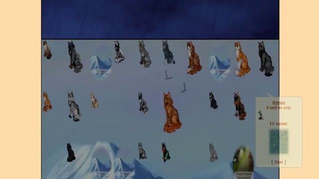 CatWar - обзор.