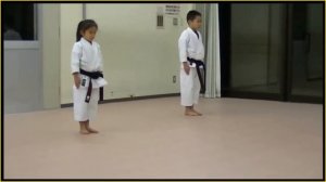 Ката в каратэ (kids исполнители).