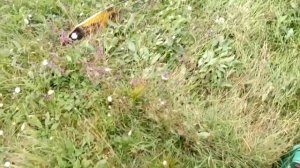 Косилка дуплексная кд210