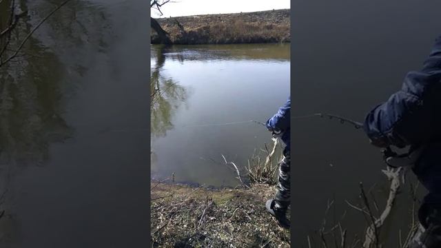 Рыбалка Жуковский район Калужской области смотреть онлайн