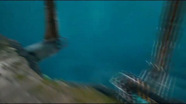 ВСЕ ЖИВОТНЫЕ В BIOMUTANT/ ВСЕ МАУНТЫ смотреть онлайн