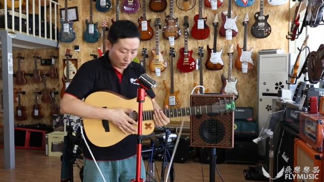 马丁 Martin LX1E  Ed Sheeran Signature Guitar