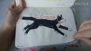 •Обзор скетчбука•Коты Воители• 2 часть•
