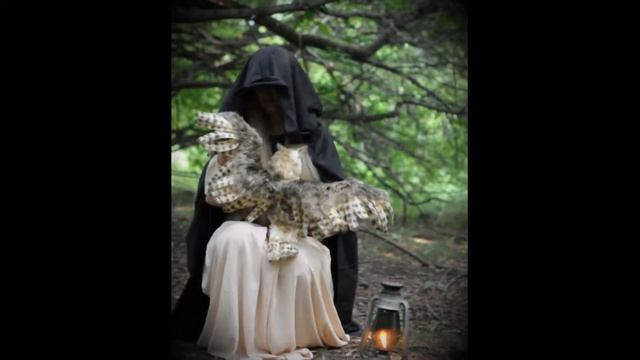 Игрушка в стиле натюр Ушастая сова / Long-eared Owl Teddy Toy смотреть онлайн