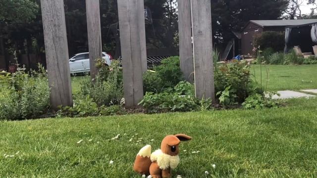 Ask or Dare the Eeveelutions Part 6! смотреть онлайн