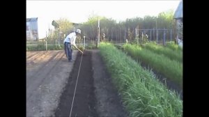 Посадка картофеля на грядках по Миттлайдеру