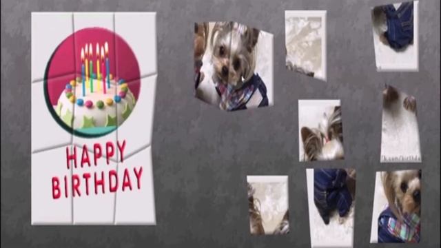 Happy Birthday and Cute Dogs Jigsaw Puzzle смотреть онлайн