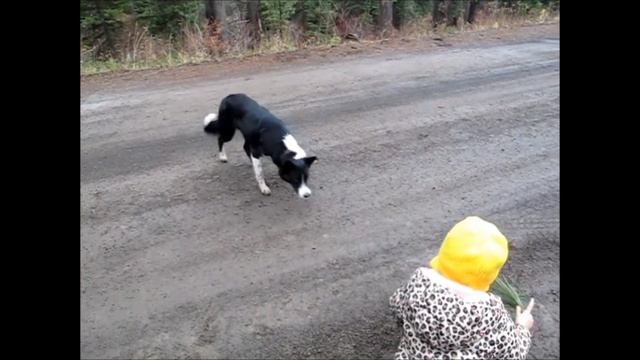 Up THE MOUNTAIN WOOD GIT'N with THE TRIBE смотреть онлайн