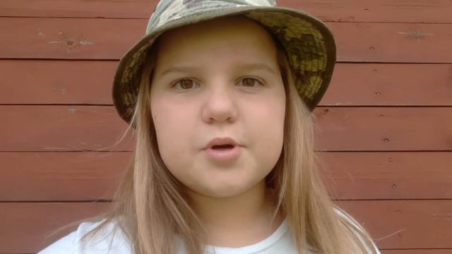 Зашла на чужой участок???||Влог с дачи||Vika Star смотреть онлайн