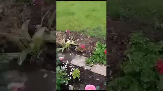 Ваши отзывы-благодарю за обратную связь 🤗🌸💜 смотреть онлайн