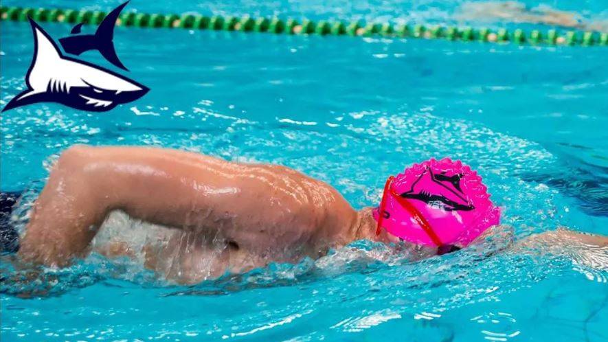 Соревнования по плаванию для любителей на 1000м. SilverSwim CUP 28 октября 2018 смотреть онлайн