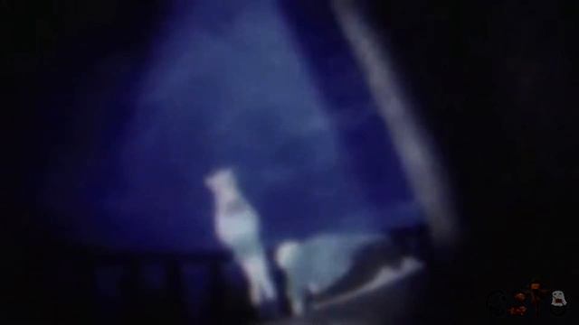[HALLOWEEN MEP] 🍸Everybody gets high 🍸 смотреть онлайн