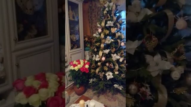 Сегодня нашей совместной жизни 25 лет! смотреть онлайн