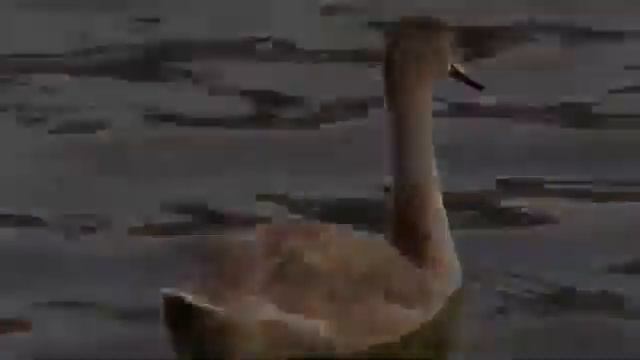 Причал надежды смотреть онлайн