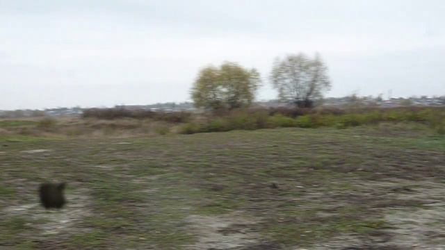 Борисоглебск пляж "пески" смотреть онлайн