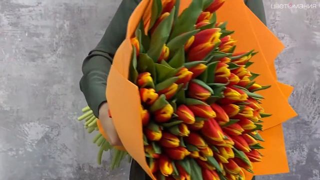 Обзор букета из 101 красно-желтого тюльпана смотреть онлайн