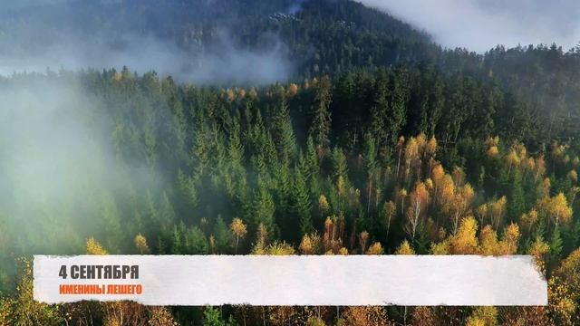 4 СЕНТЯБРЯ - ИМЕНИНЫ ЛЕШЕГО смотреть онлайн