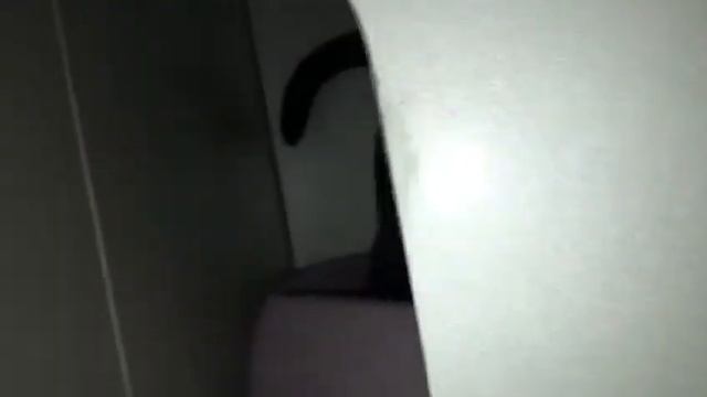 Тумба-туалет для котов смотреть онлайн