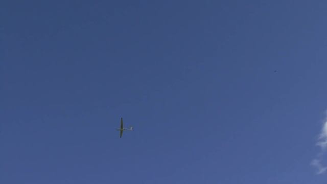 ASK-21 1/2.5 Scale RC Glider смотреть онлайн