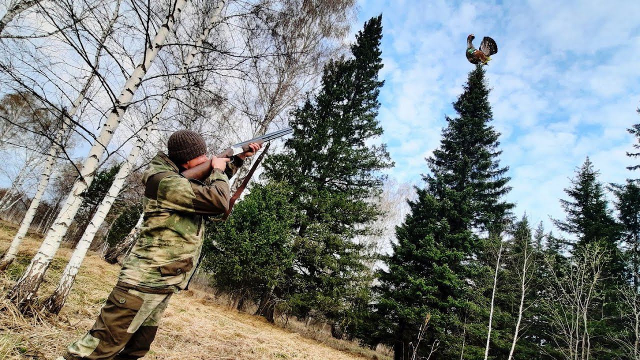 Охота на Глухаря на Току!!! Таёжный Великан Добыт. смотреть онлайн