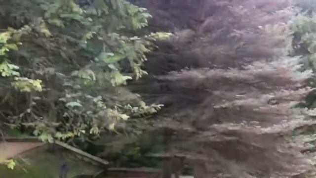 Природа Кисловодска