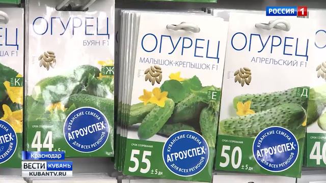 Октябрина Ганичкина показала мастер-класс садоводам и огородникам смотреть онлайн