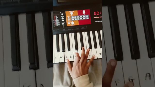 Wednesday theme on Yamaha-PSR-F51 смотреть онлайн
