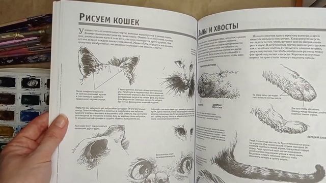 Обзор книги "Полный курс рисования" смотреть онлайн