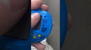 Что делать если тамагочи отключается ночью? ( обучение )