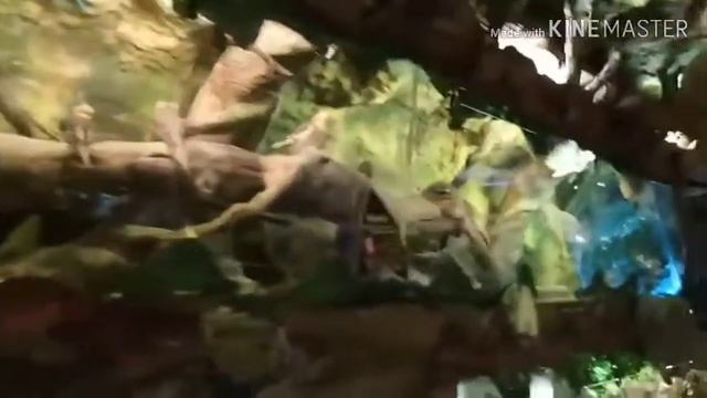 Латгальский зоосад в Даугавпилсе /Latgales zoodārzs Daugavpilī смотреть онлайн