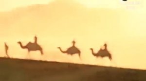 Мега стройки в АБУ ДАБИ!