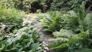 Обзор красивого сада в Подмосковье Установка большой ротонды от Qgarden