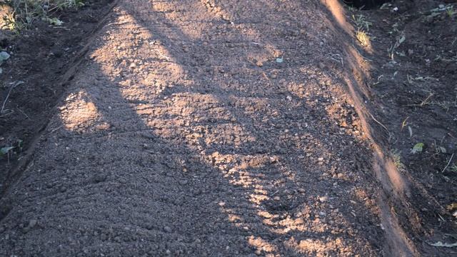 Анонс. Посадка чеснока в зиму. смотреть онлайн