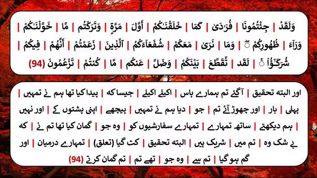 Tafseer-ul-Quran Lesson 83 : Surah Al-An'am 93- 110 смотреть онлайн