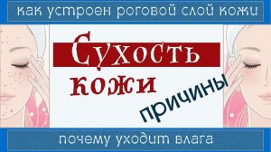 Почему КОЖА СУХАЯ? ✔️ Что надо знать, чтобы правильно СПАСАТЬ (Сухая кожа 1)