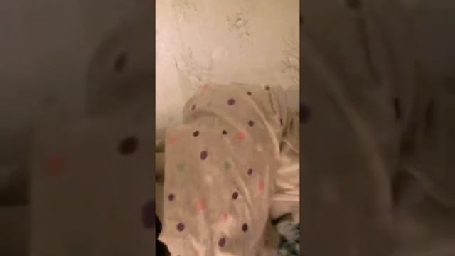 ребята пока я забыл сказать у меня зарядка села вот и конечно Подписывайтесь смотреть онлайн