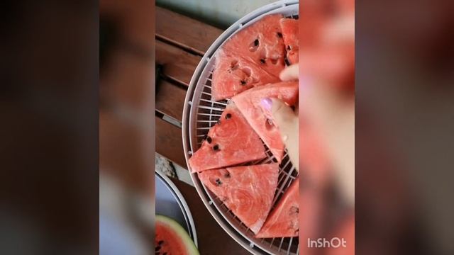 Сушеный арбуз в электросушилке Ezidri смотреть онлайн