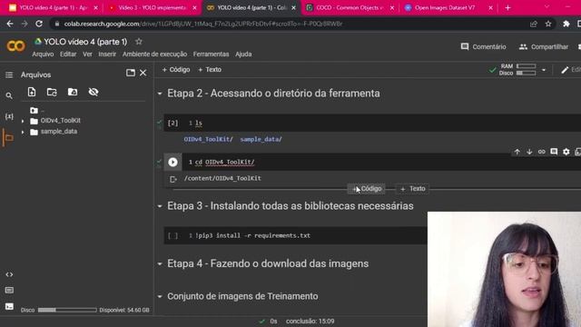 Detecção de Objetos - YOLO com Treinamento Customizado (Criação do Dataset #1) смотреть онлайн
