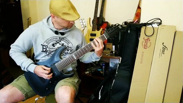 LTD восмиструн «гусли» (видео для себя) смотреть онлайн