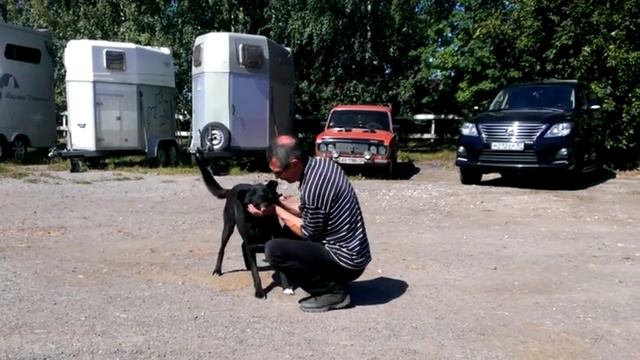 Энтони смотреть онлайн